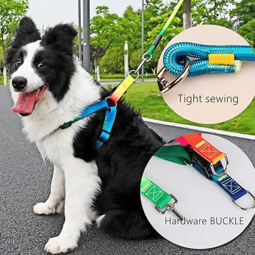 New  Colorful Dog Collar, leash & Harness set For Large dogs